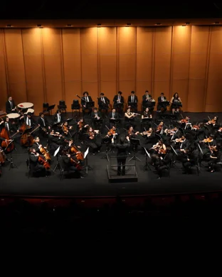 String Quartet St. Louis