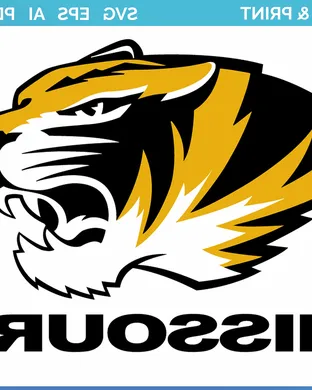 Missouri Tigers St. Louis