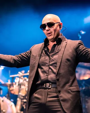 Pitbull Maryland Heights