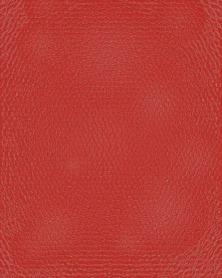 Red Leather St. Louis