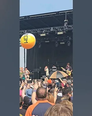 Silly Goose St. Louis