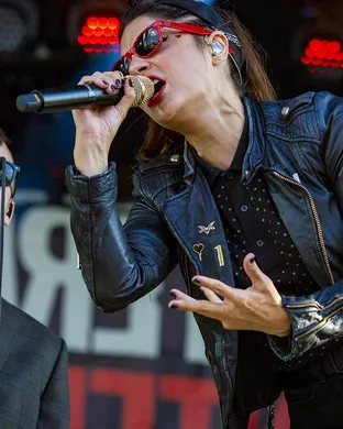 The Interrupters St Louis
