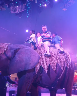 UniverSoul Circus St. Louis